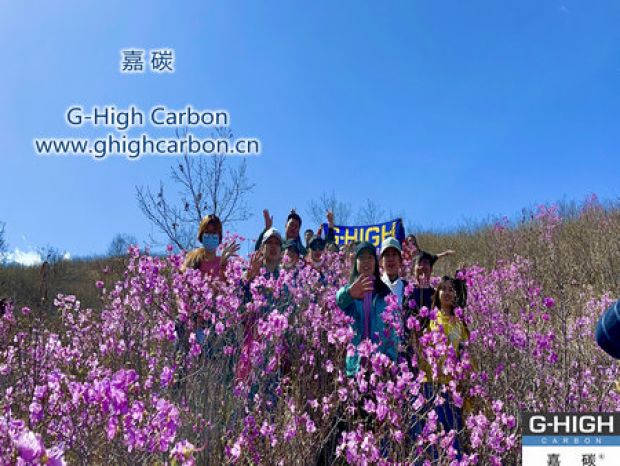 山野映山紅遍，嘉碳不負(fù)春光