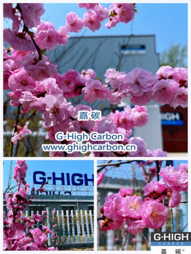 環(huán)保嘉碳，春花爛漫
